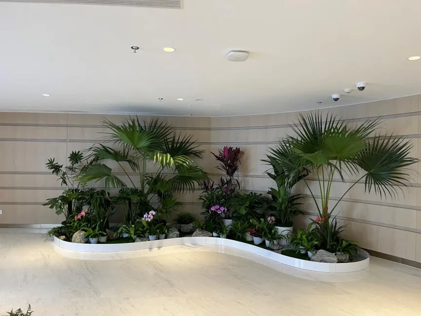 宁波杭州湾绿化养护设计